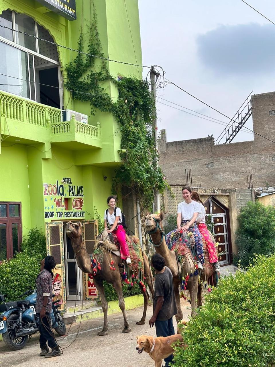 פושקאר Hotel Zoola Palace מראה חיצוני תמונה